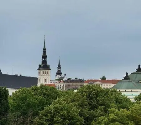 公寓 Center Huge 3-bedroom 塔林